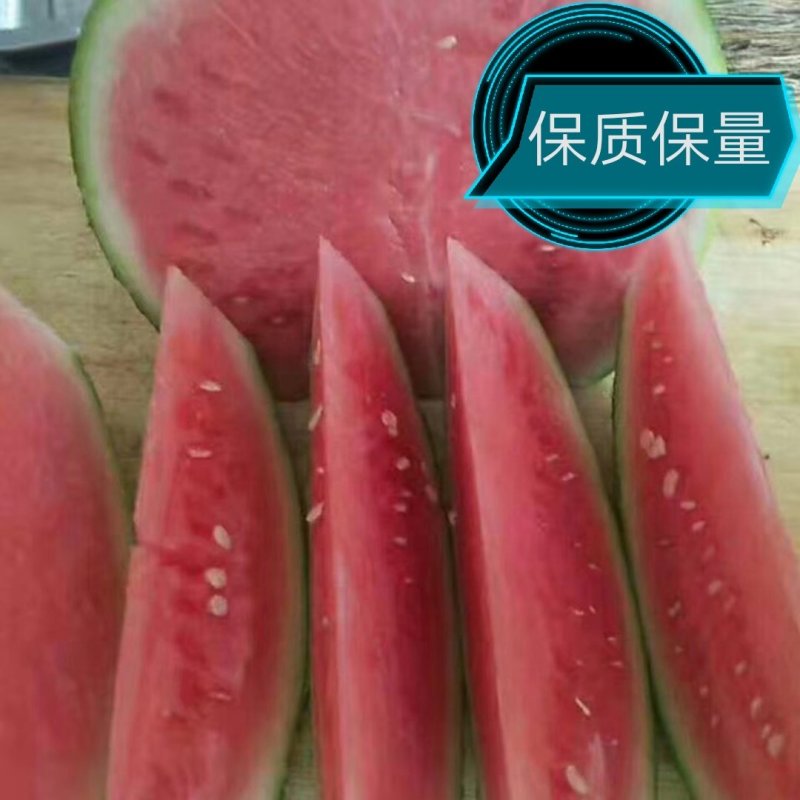 夏邑县美都无籽西瓜，大棚种植自播苗。保质保量。
