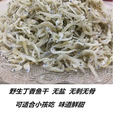 凤尾鱼