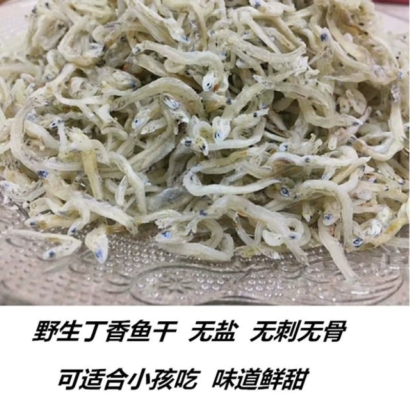 凤尾鱼