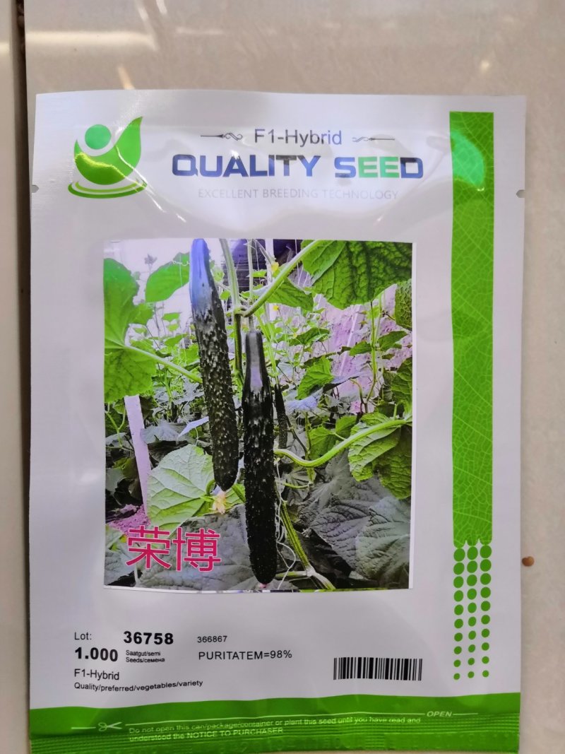 越夏秋延迟专用荣博黄瓜种子直播就是油亮的短把密刺
