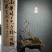 腊梅盆景，适合室内，办公室，等各种场所