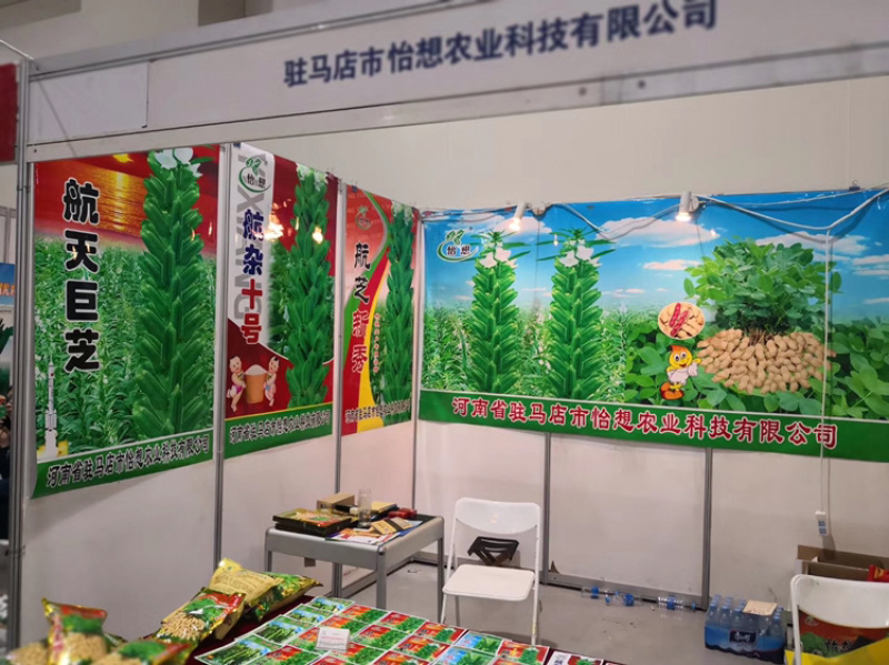 花生种子，怡想品牌，纯手工剥米，质量有保障
