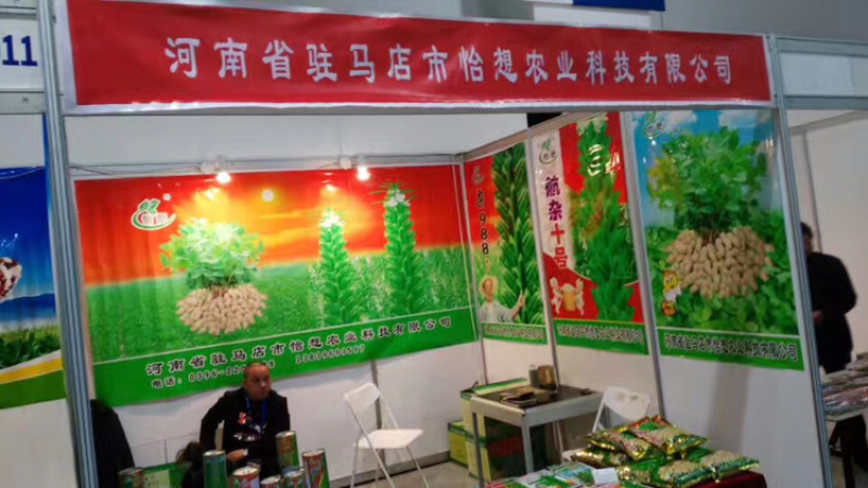 花生种子，怡想品牌，纯手工剥米，质量有保障