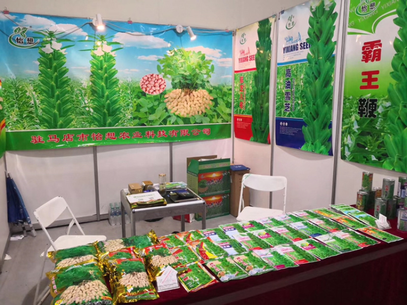 花生种子，怡想品牌，纯手工剥米，质量有保障