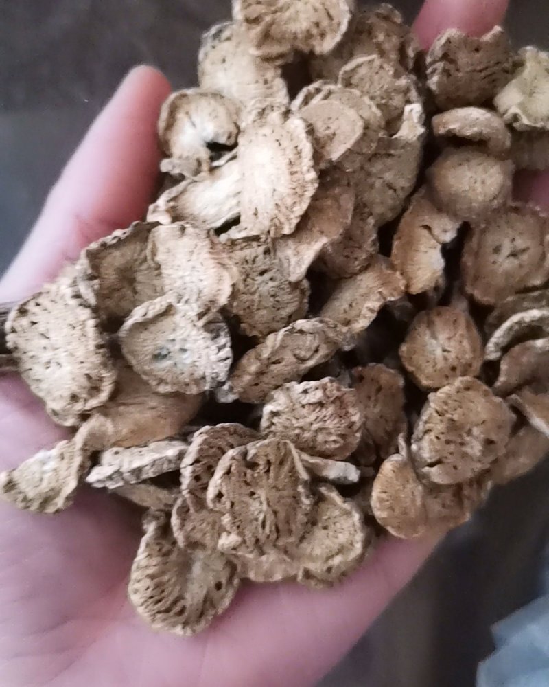 牛蒡大量批发零售产地直供可视频看货