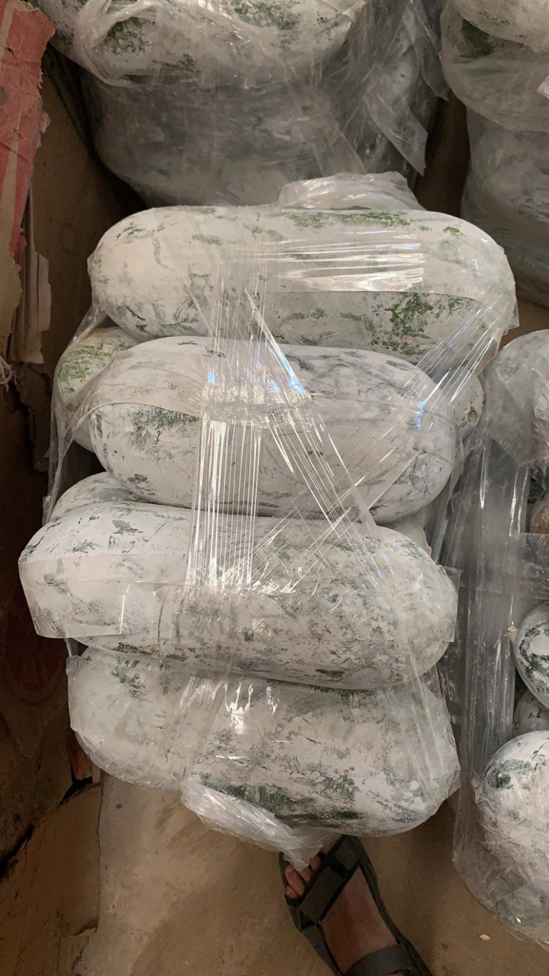 西双版纳香冬瓜