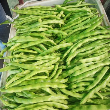 蔬菜