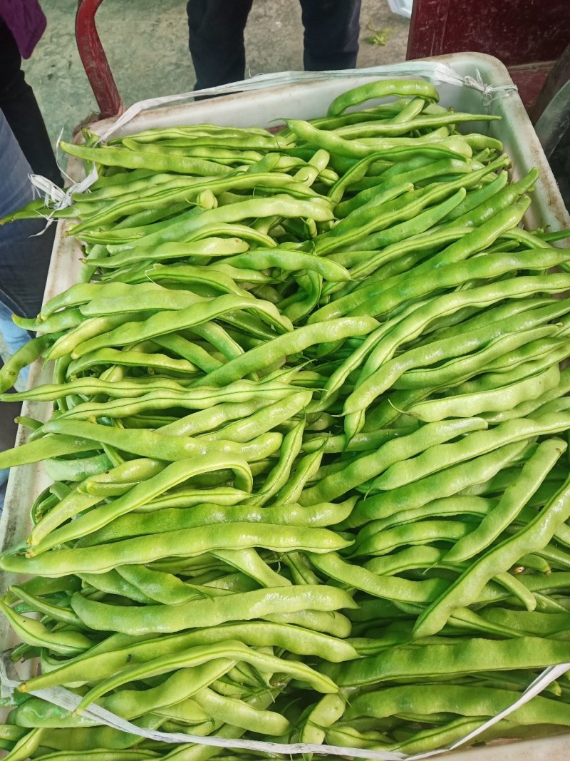 蔬菜