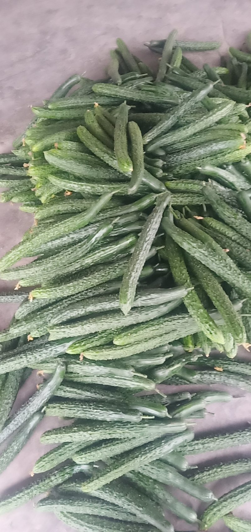 蔬菜