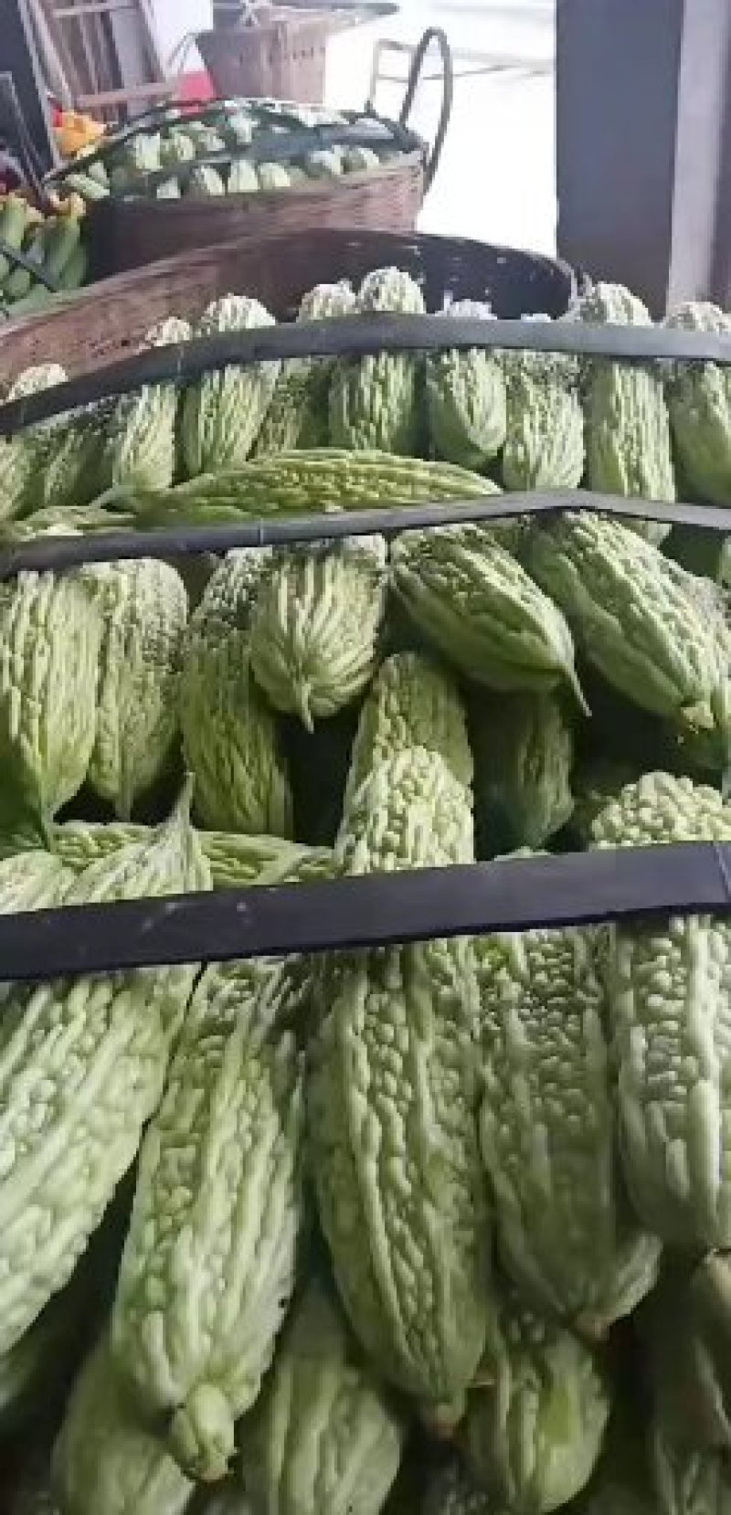 蔬菜