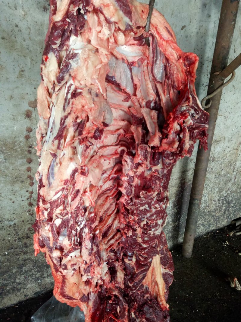 鲜牛肉，公牛肉，国产鲜牛肉，整牛肉，鲜牛肉