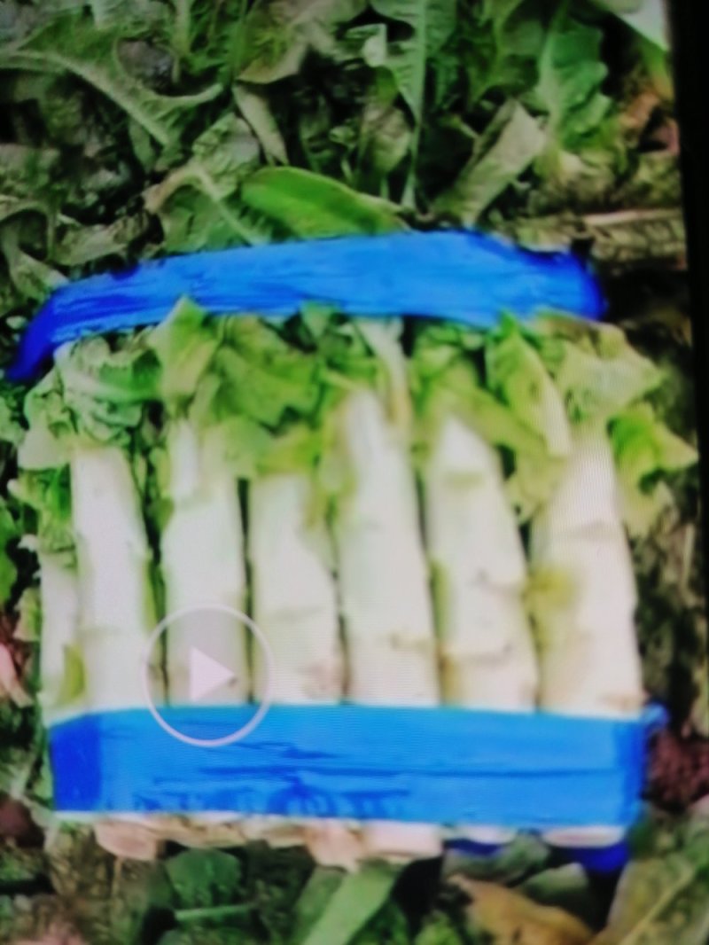 莴笋上市质量好，量大上市