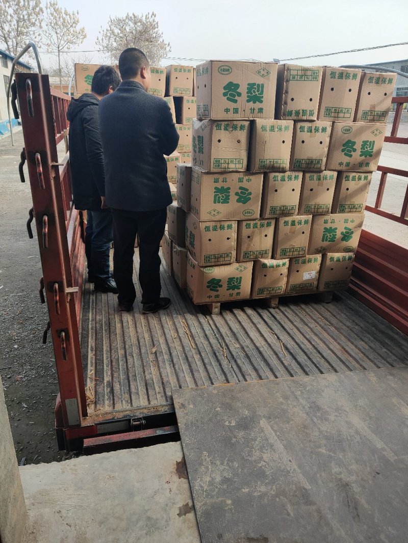陕西渭南蒲城套网纸袋长把梨冬梨三两半起步，果面干净