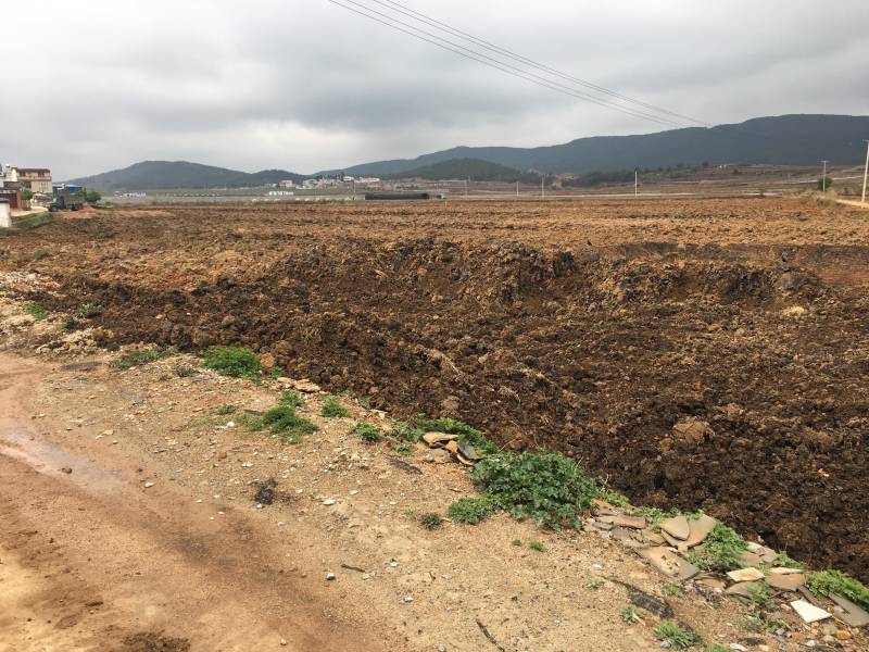 曲靖马龙37亩水田出租，适合蔬菜，葡萄种植