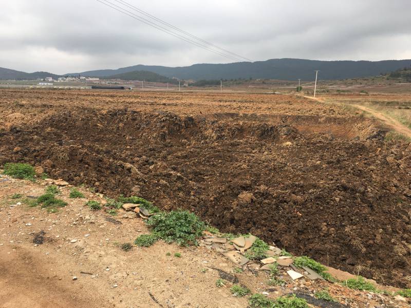 曲靖马龙37亩水田出租，适合蔬菜，葡萄种植