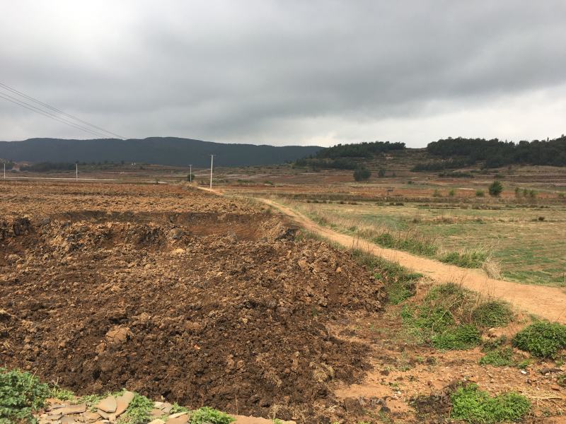 曲靖马龙37亩水田出租，适合蔬菜，葡萄种植
