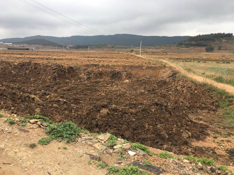 曲靖马龙37亩水田出租，适合蔬菜，葡萄种植