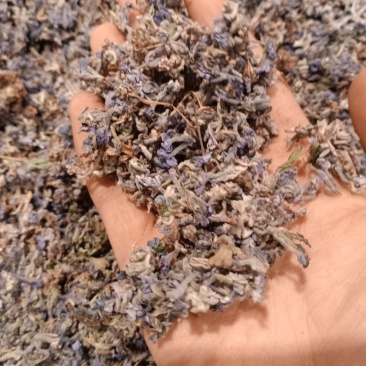 葛花过筛无杂质量大从优大货供应