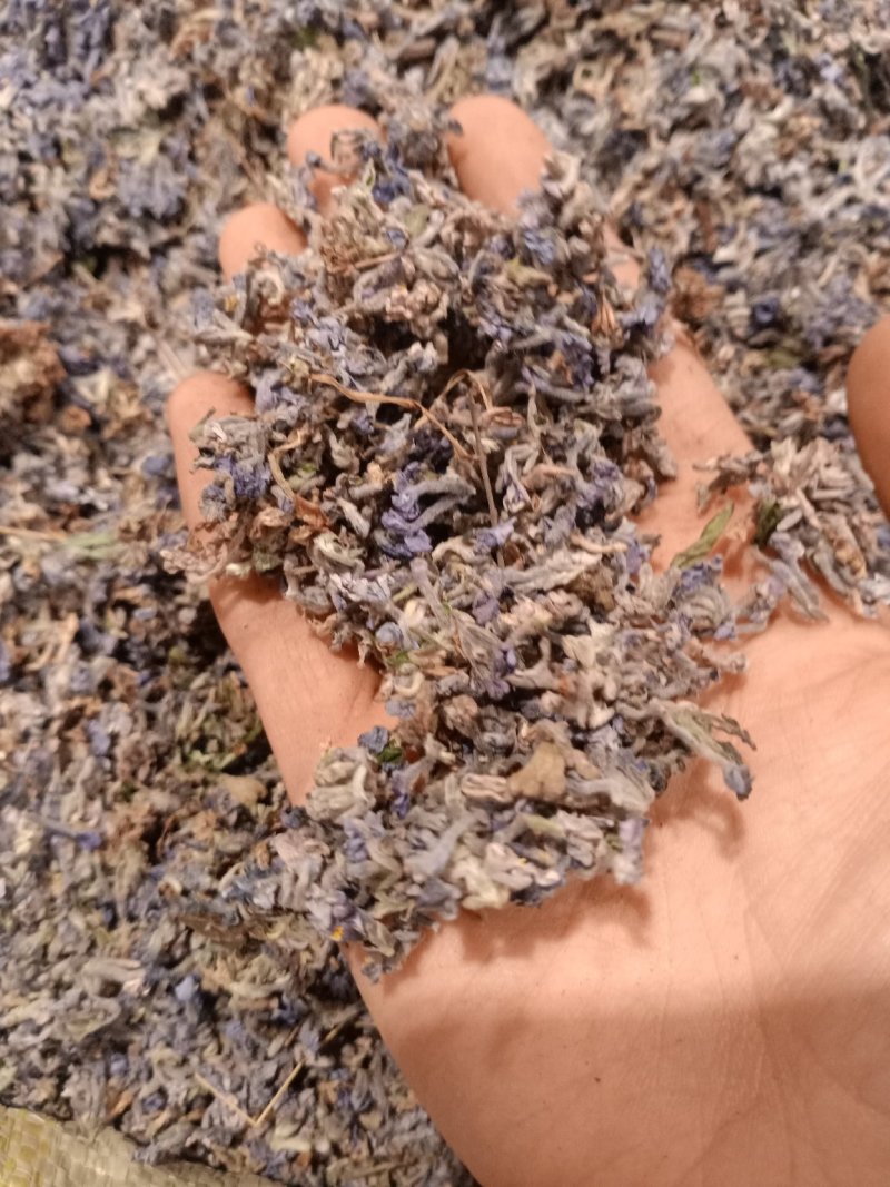 葛花过筛无杂质量大从优大货供应