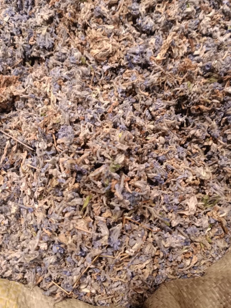 葛花过筛无杂质量大从优大货供应