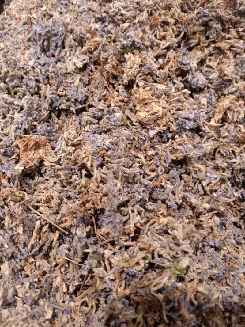 葛花过筛无杂质量大从优大货供应