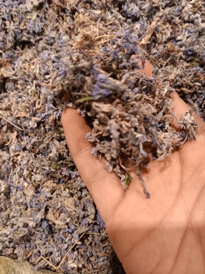葛花过筛无杂质量大从优大货供应
