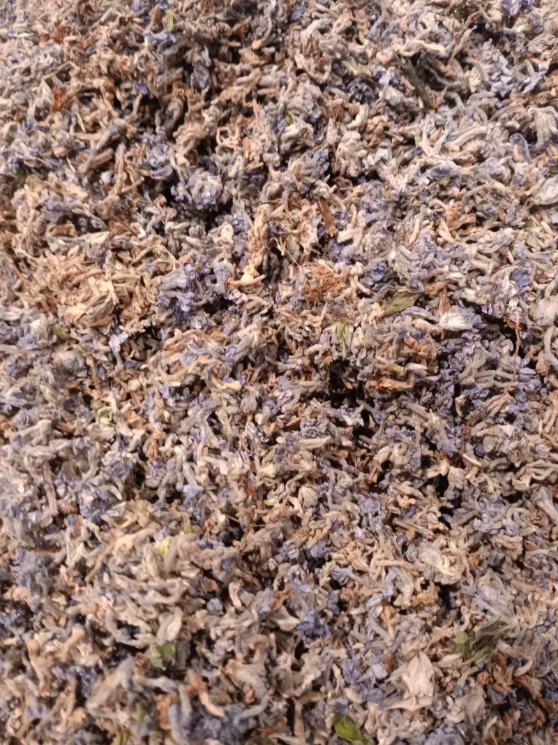葛花过筛无杂质量大从优大货供应