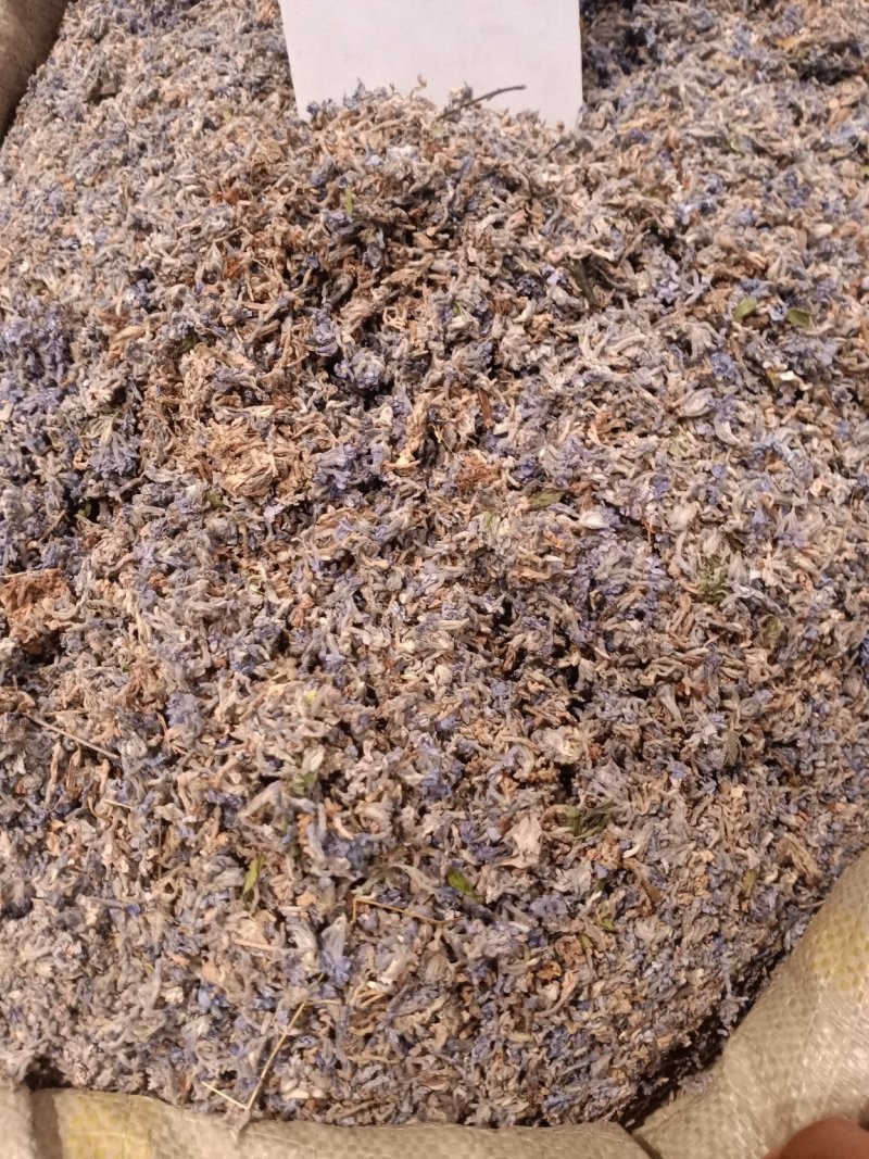 葛花过筛无杂质量大从优大货供应