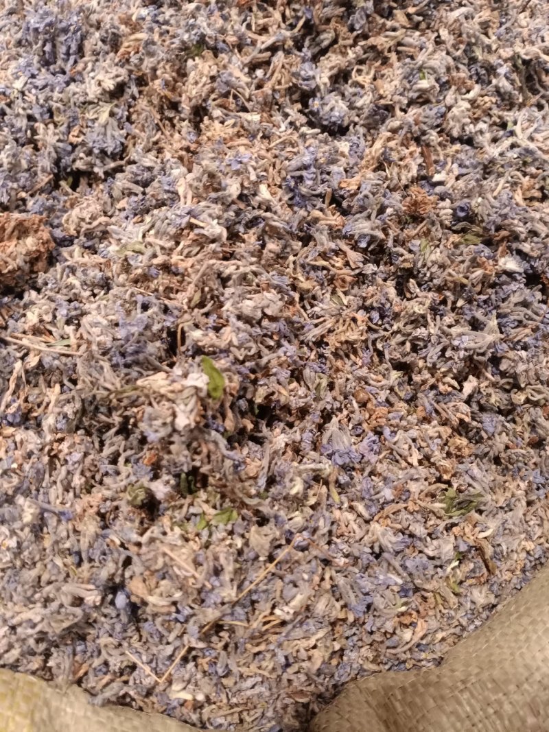 葛花过筛无杂质量大从优大货供应