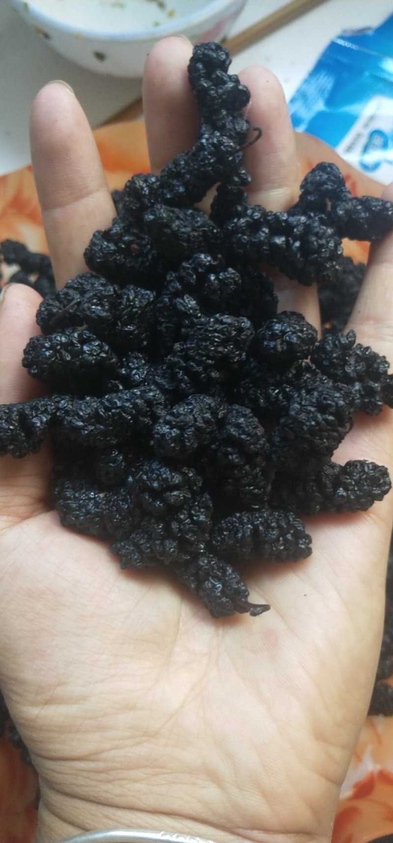 攀枝花桑葚干，鲜果，，出售，