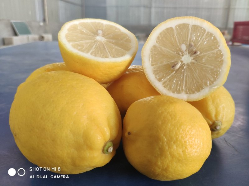 柠檬新鲜水果5斤皮薄多汁柠檬泡水黄柠檬二三级榨汁柠檬安岳
