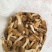 虫草锁阳菌