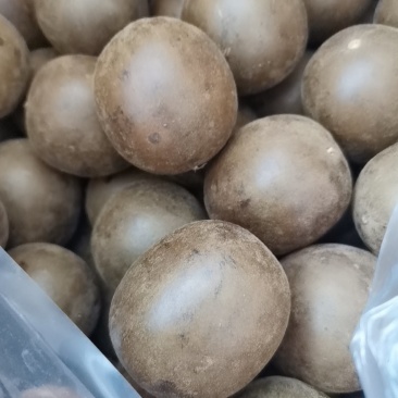 罗汉果大量批发零售正品保证质量无理由退货退款