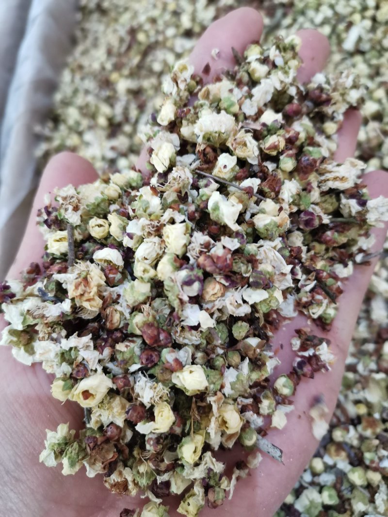 白梅花无硫无添加干品花茶类一斤起包邮