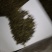 桑叶粒大量批发零售正品保证质量无理由退货退款