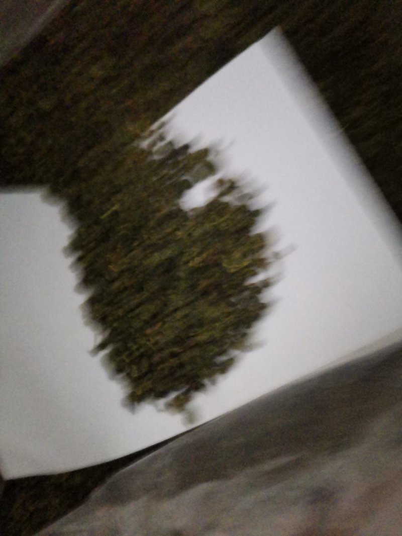 桑叶粒大量批发零售正品保证质量无理由退货退款