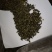 桑叶粒大量批发零售正品保证质量无理由退货退款