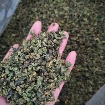 桑叶粒大量批发零售正品保证质量无理由退货退款
