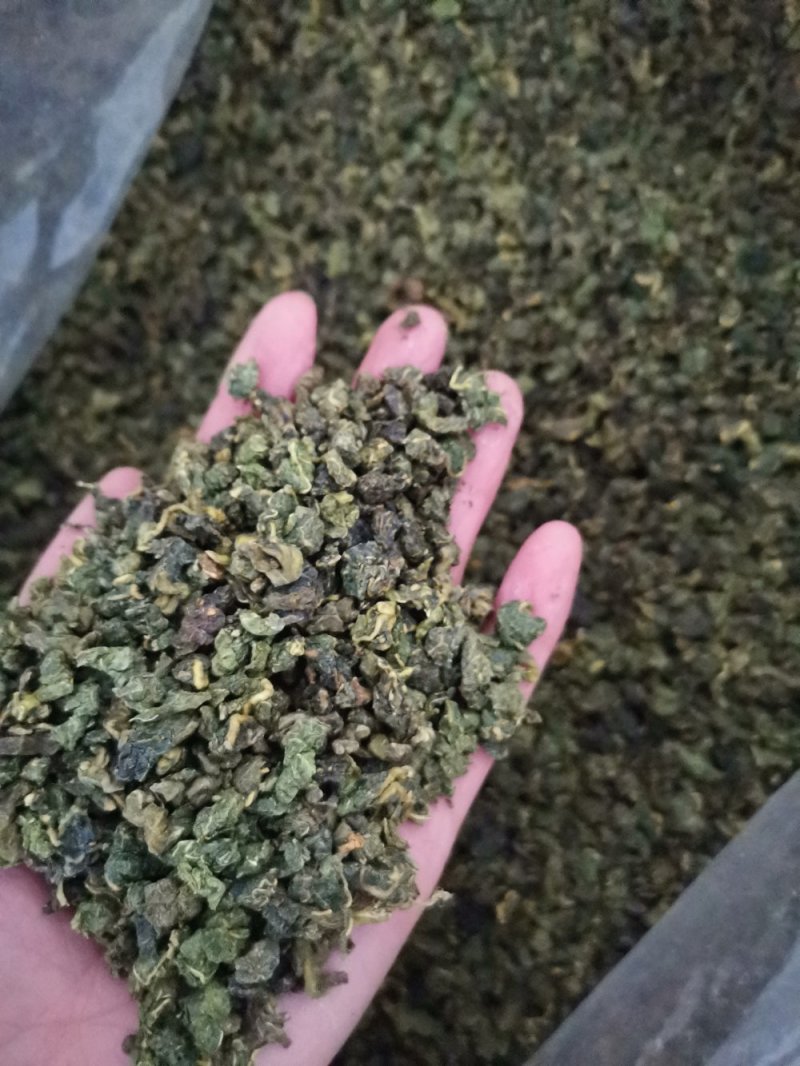 桑叶粒大量批发零售正品保证质量无理由退货退款