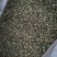 桑叶粒大量批发零售正品保证质量无理由退货退款