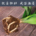 四季君子兰盆栽花卉植物好养大苗当年开花室内外