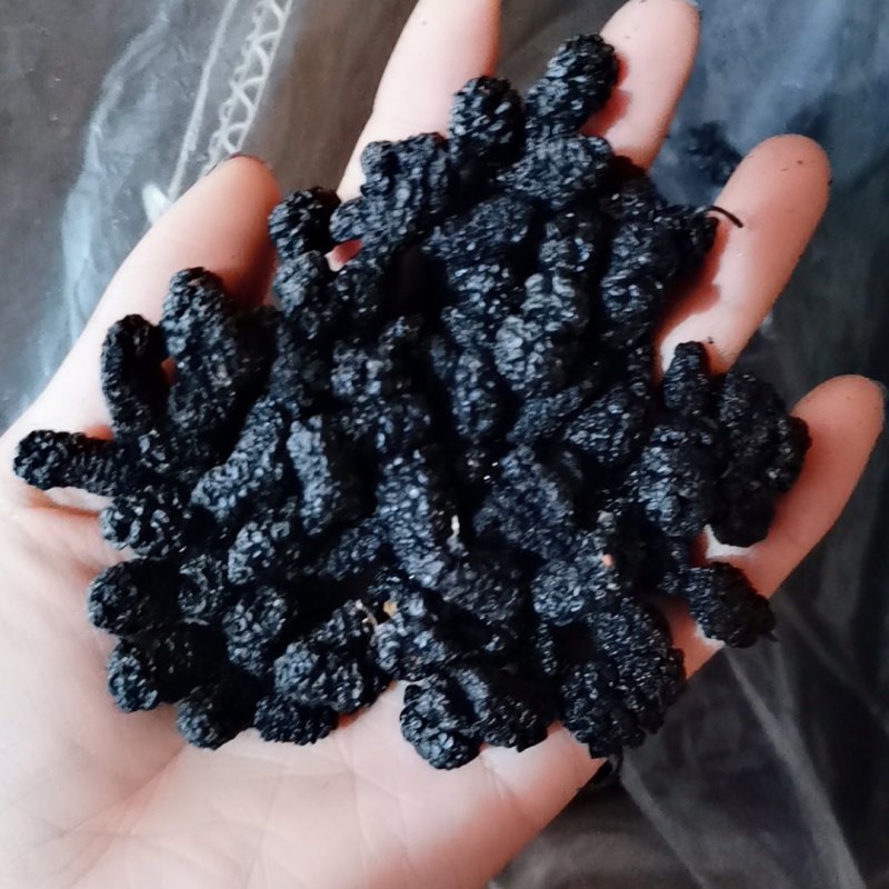 桑葚干，桑椹干，可视频看货。今年新货。