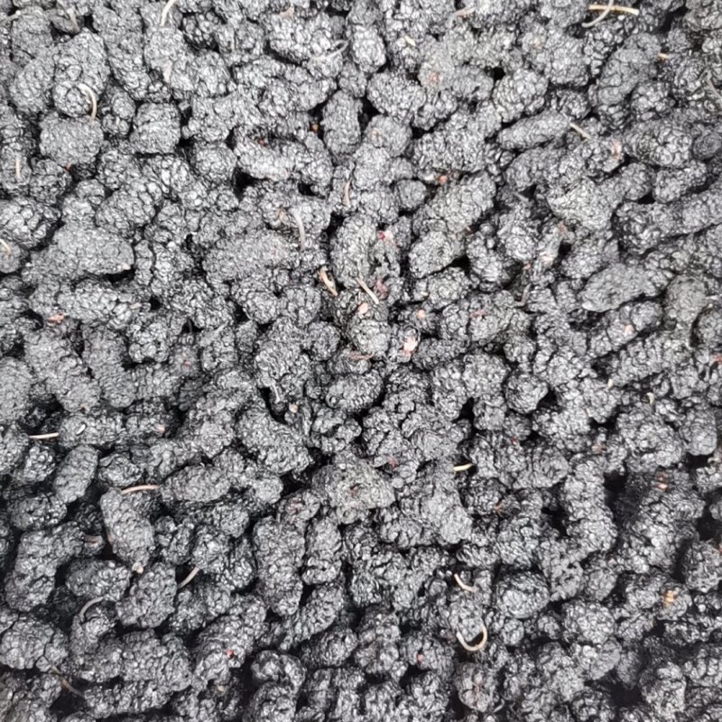 桑葚干，桑椹干，可视频看货。今年新货。