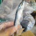 巴浪鱼干，今年新鱼花飞干
