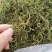 化石草新货肾精草野生净货颜色青产地直销两斤包邮