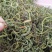 化石草新货肾精草野生净货颜色青产地直销两斤包邮