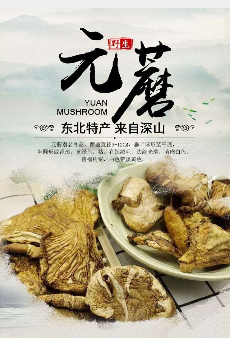 【优选】元蘑东北特产一级货干净养殖元蘑可视频看货诚信经营
