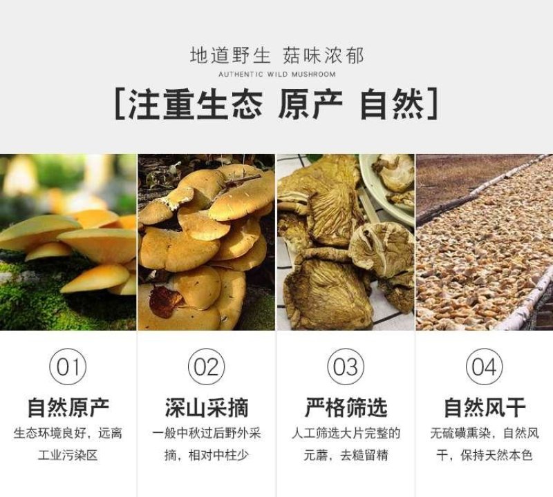 【优选】元蘑东北特产一级货干净养殖元蘑可视频看货诚信经营