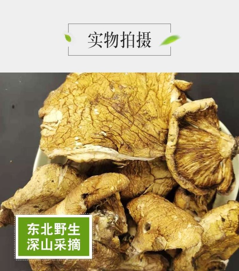 【优选】元蘑东北特产一级货干净养殖元蘑可视频看货诚信经营