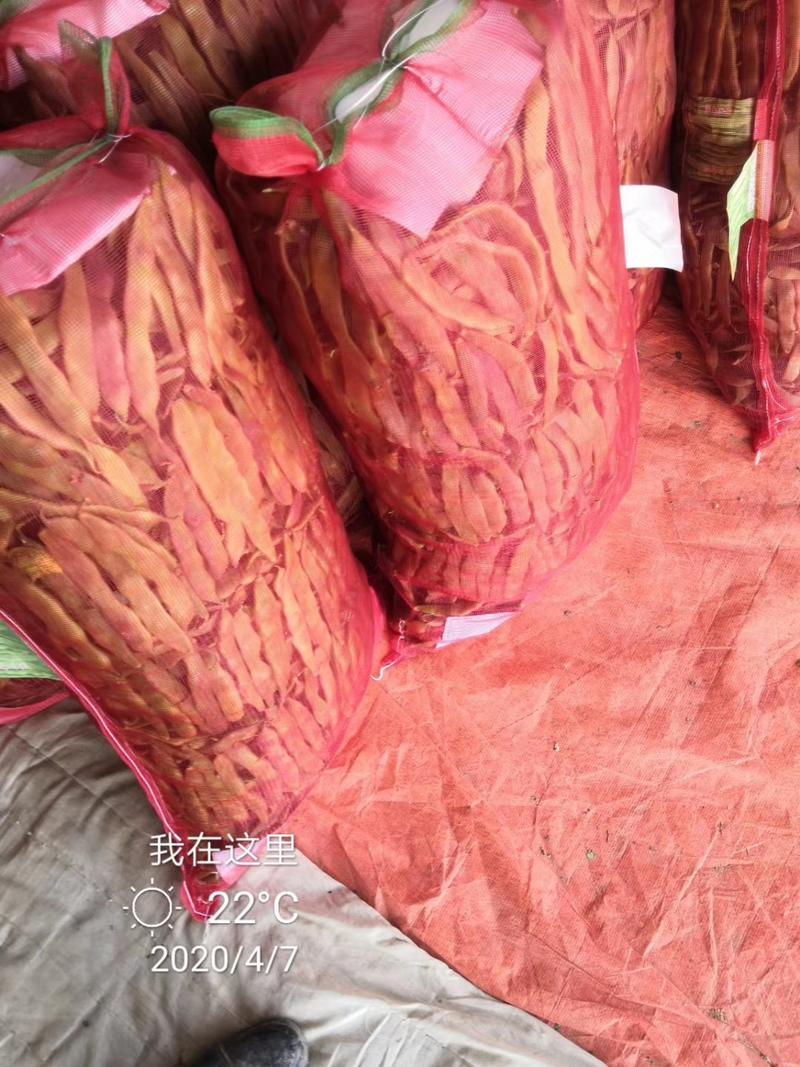 油豆角紫花油豆万亩基地产地直销保质保量